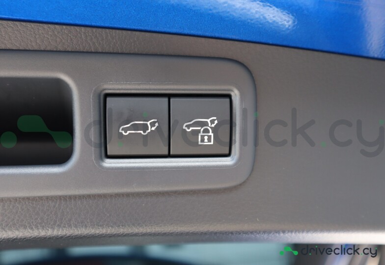 Lexus RX Blue