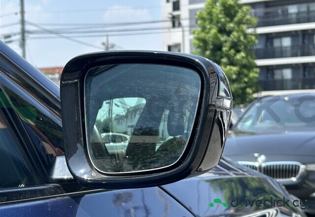 BMW 5 series Blue