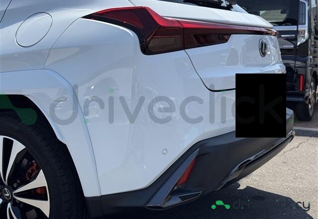 Lexus UX White