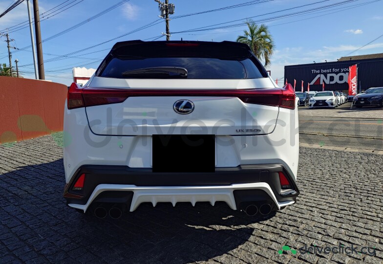 Lexus UX White