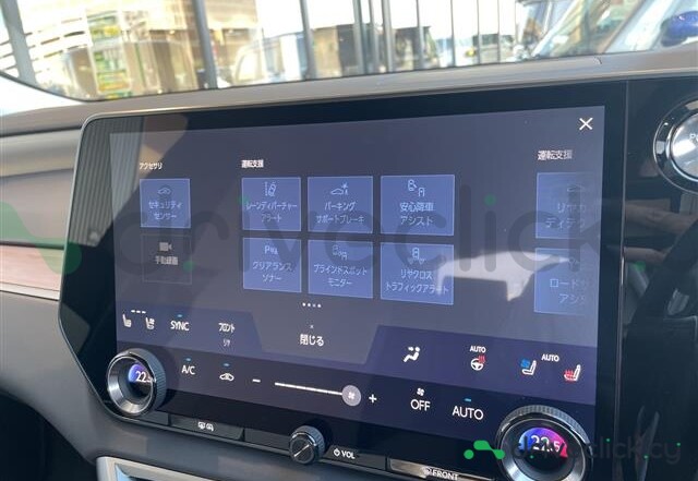 Lexus RX Grey