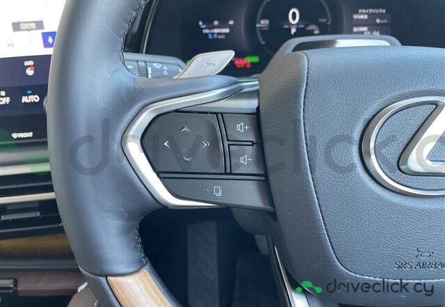 Lexus RX Grey