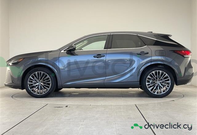 Lexus RX Grey