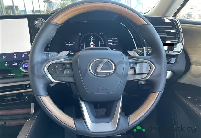 Lexus RX Grey