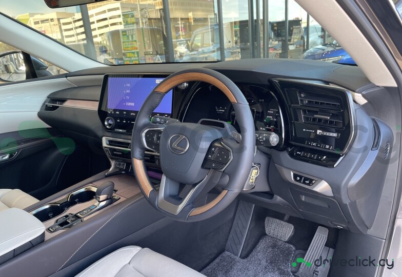 Lexus RX Grey