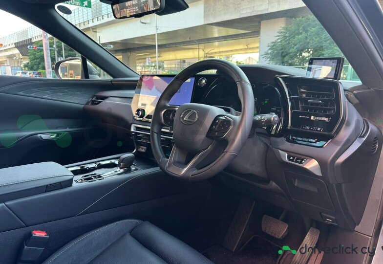 Lexus RX Grey