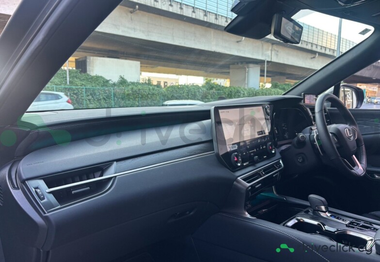 Lexus RX Grey