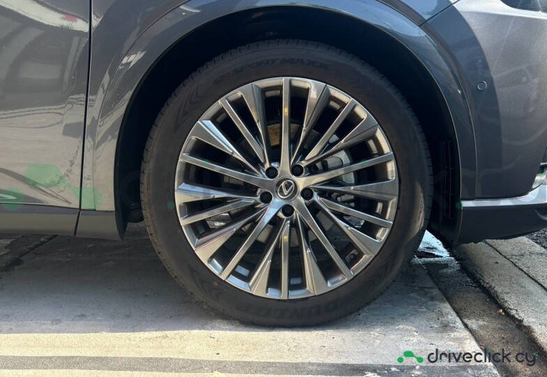 Lexus RX Grey