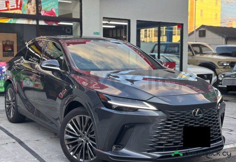 Lexus RX Grey