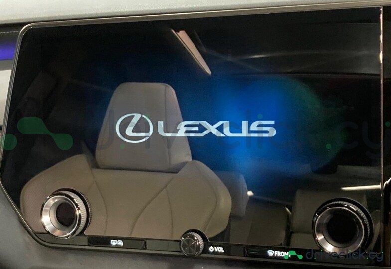 Lexus RX Black