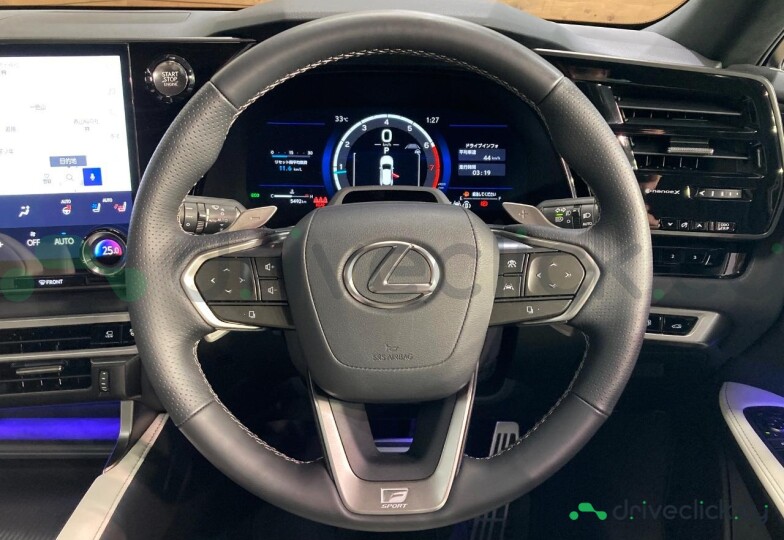 Lexus RX Black