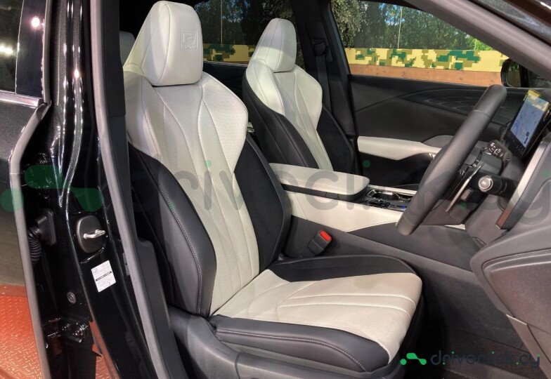 Lexus RX Black