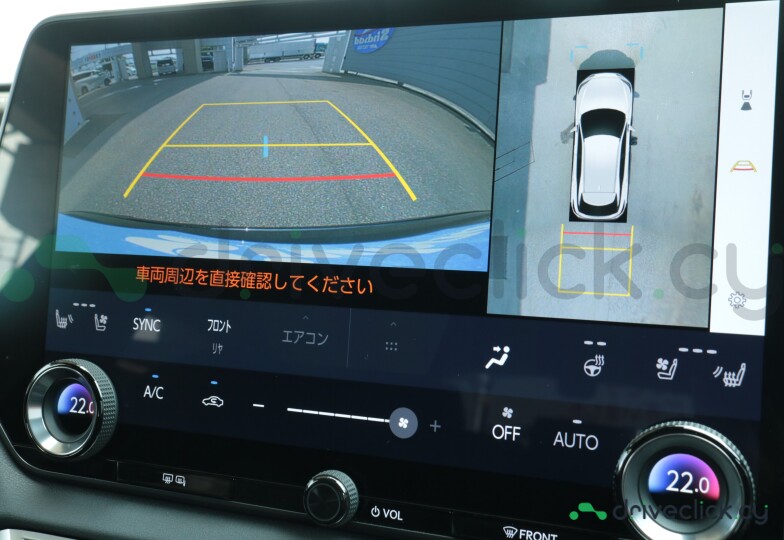 Lexus RX Black