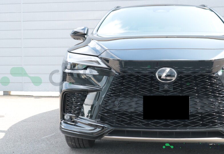 Lexus RX Black