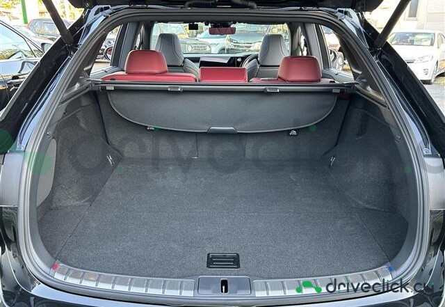 Lexus RX Black