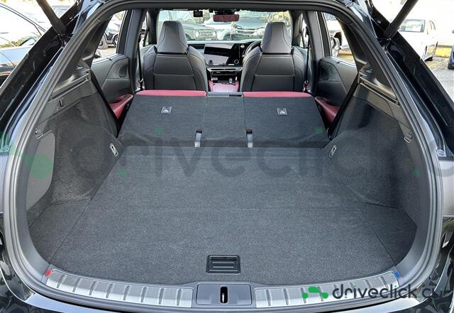Lexus RX Black
