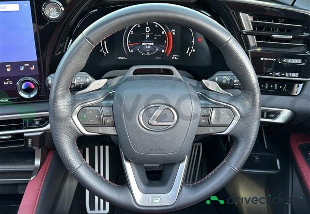 Lexus RX Black