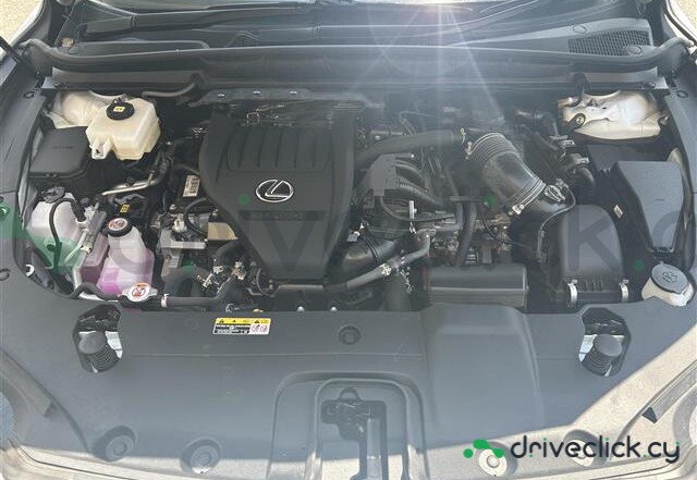 Lexus RX White