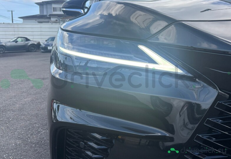 Lexus RX Black