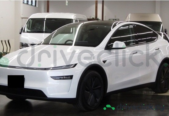 Tesla Model Y White