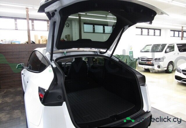 Tesla Model Y White