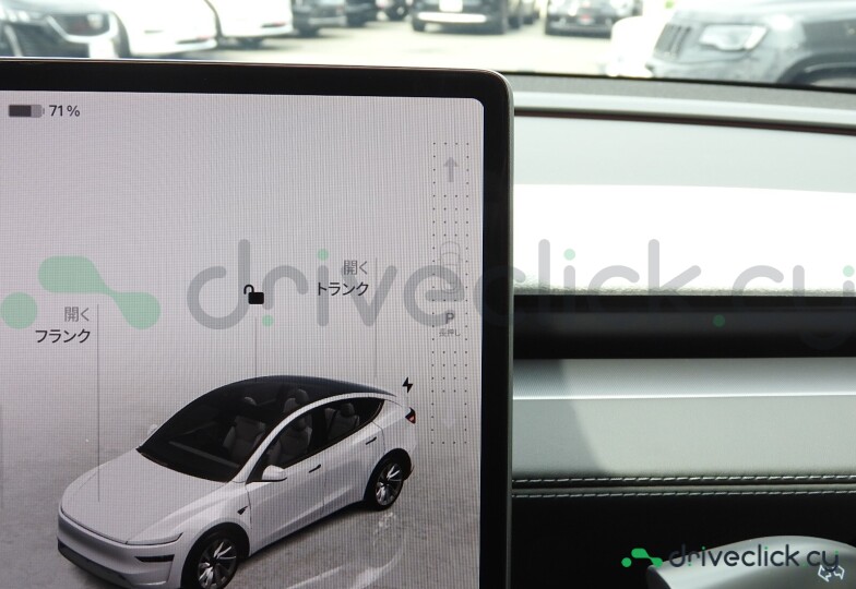 Tesla Model Y White