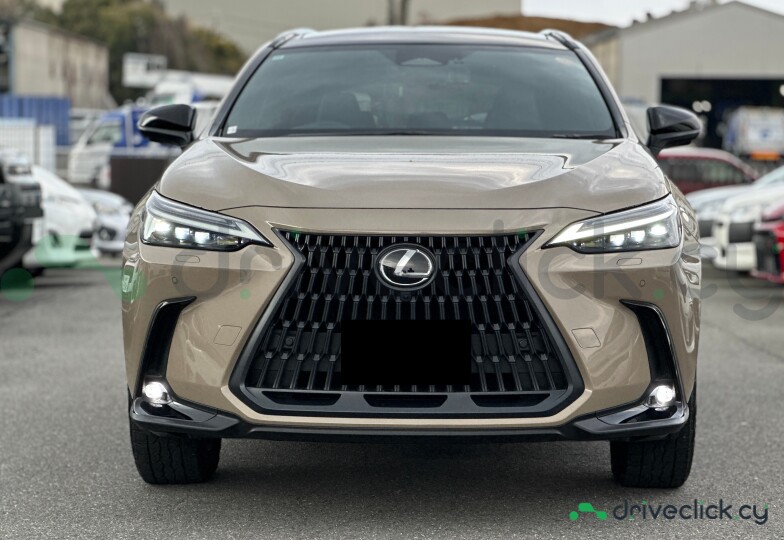 Lexus NX Beige