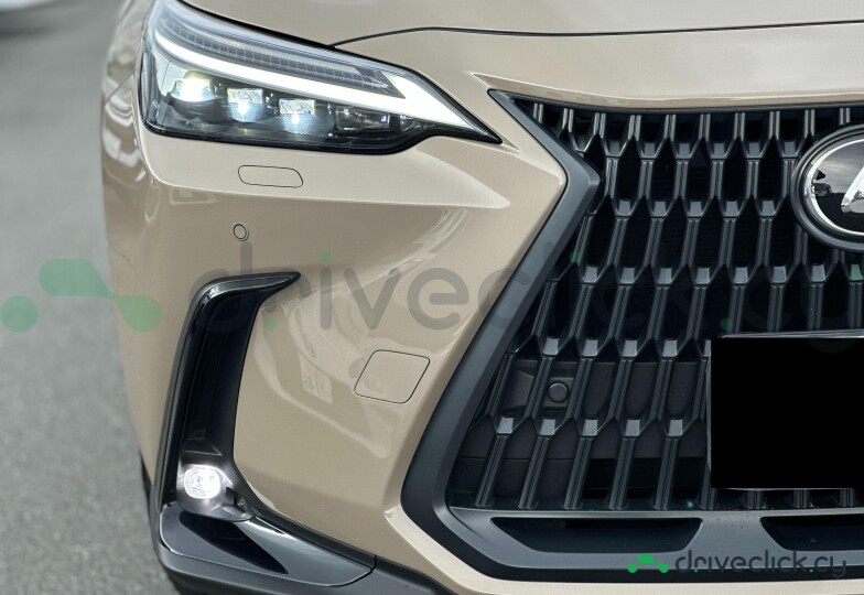 Lexus NX Beige