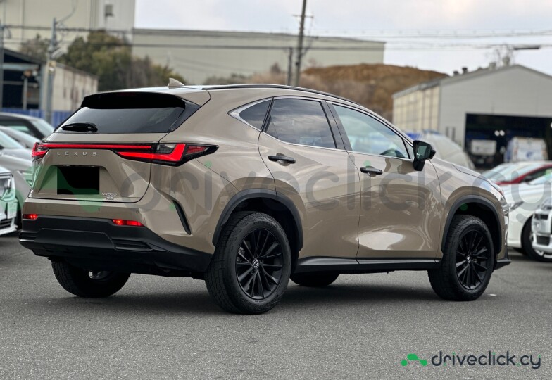 Lexus NX Beige