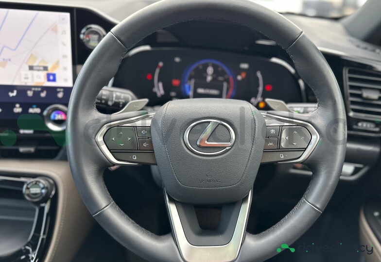 Lexus NX Beige