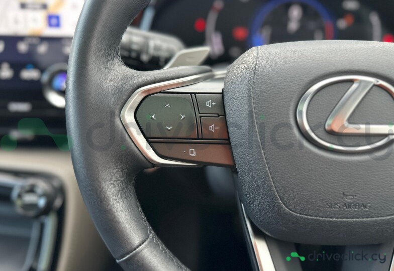 Lexus NX Beige