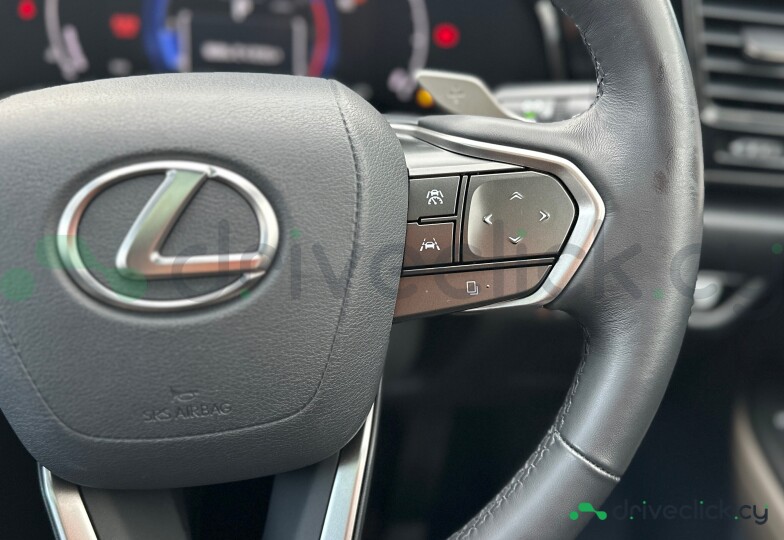Lexus NX Beige
