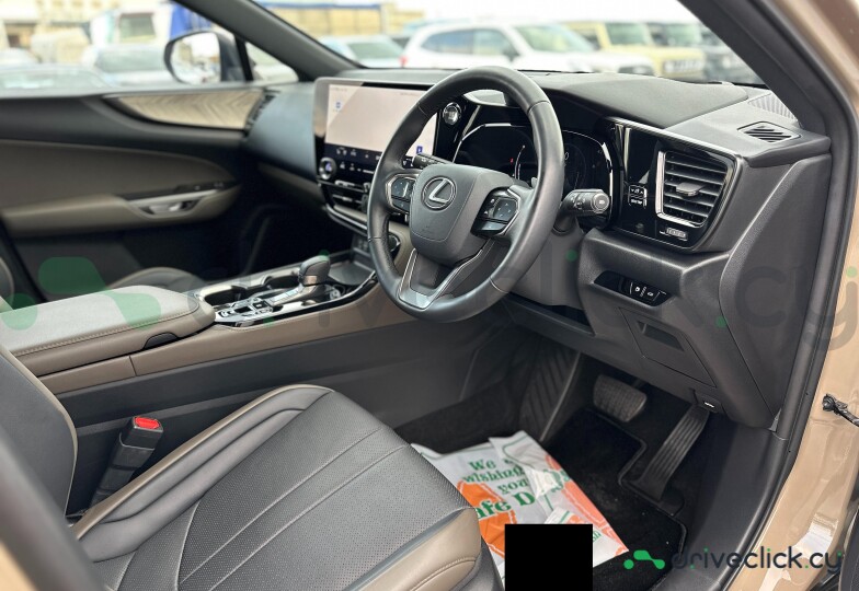 Lexus NX Beige