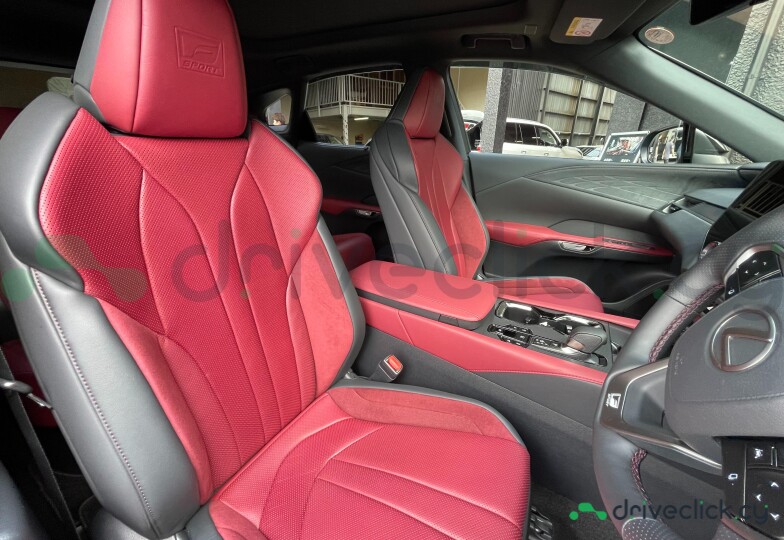 Lexus RX Black