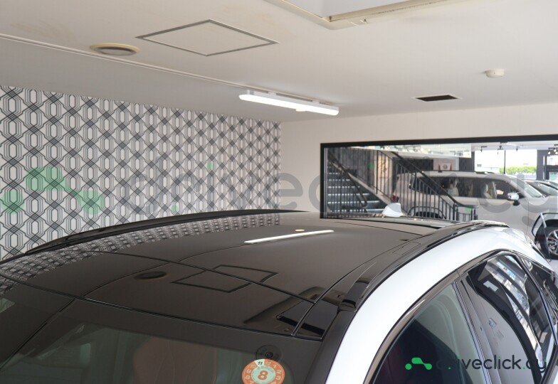 Lexus RX White