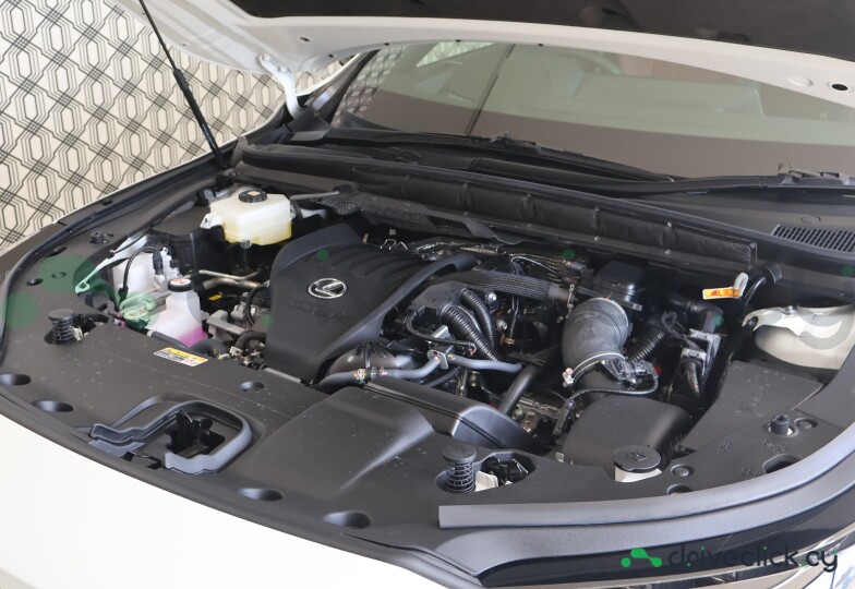 Lexus RX White