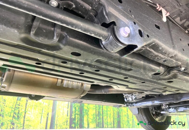 Toyota Land Cruiser 250 Brown