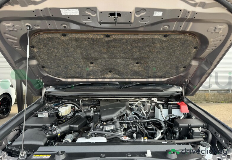 Toyota Land Cruiser 250 Brown
