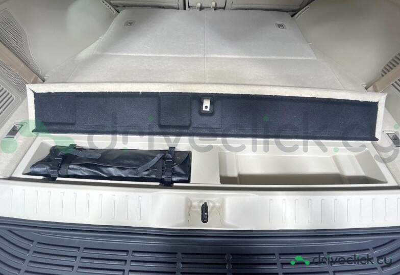 Toyota Land Cruiser 300 White
