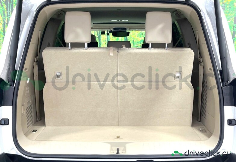 Toyota Land Cruiser 300 White