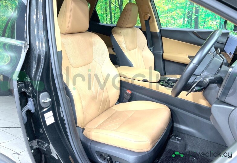 Lexus NX Black