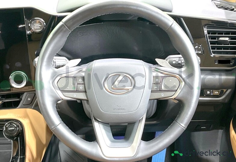 Lexus NX Black