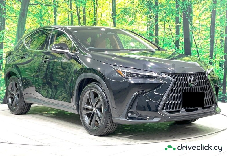 Lexus NX Black