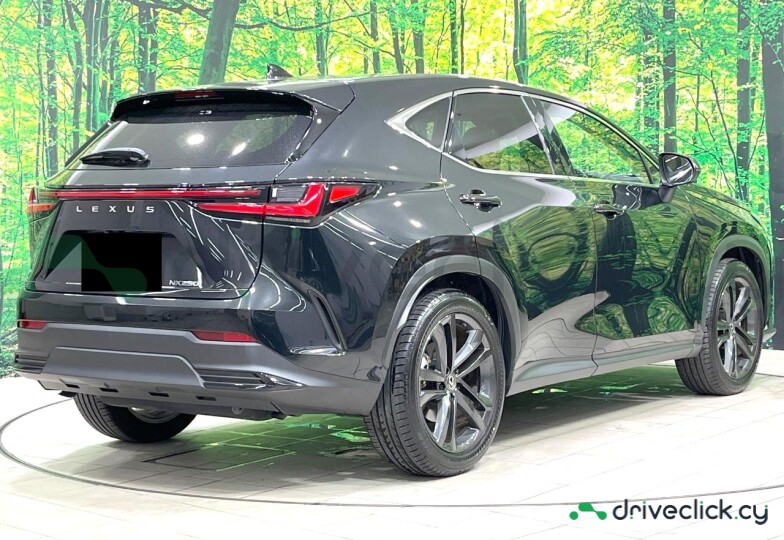 Lexus NX Black