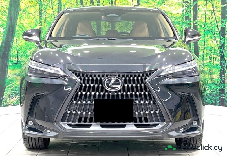 Lexus NX Black