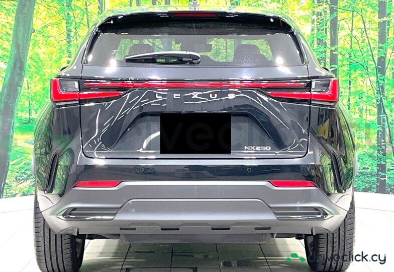 Lexus NX Black