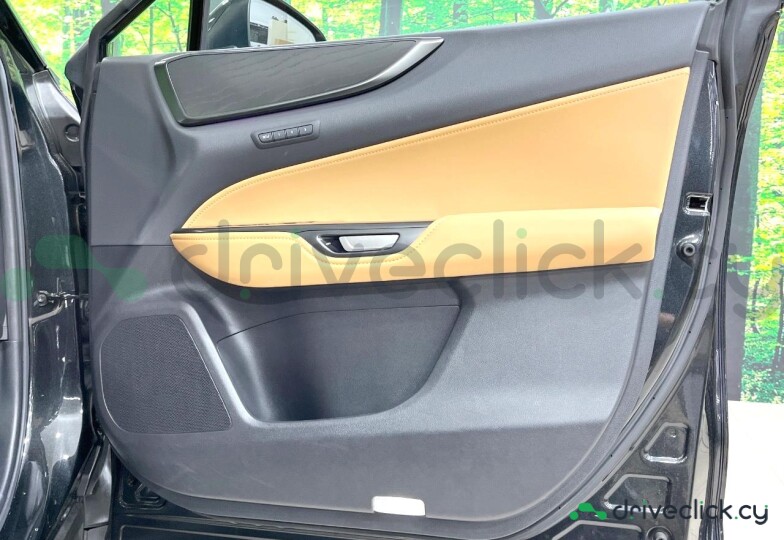 Lexus NX Black