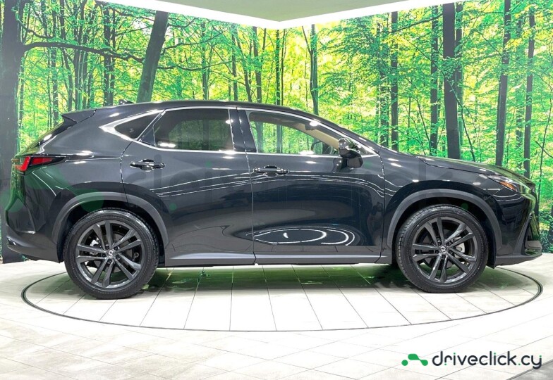 Lexus NX Black