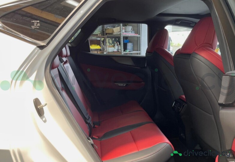Lexus NX White