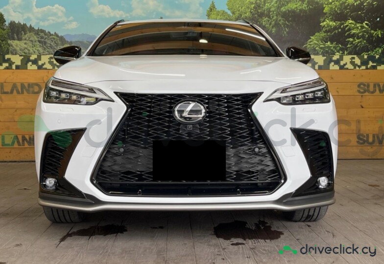 Lexus NX White